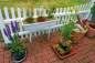 Preview: Blühende Mini-Moore - Für Garten, Terrasse und Balkon